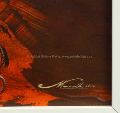  / Květy vesmíru / Jaroslav Vlasák