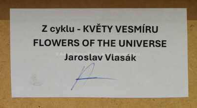  / Květy vesmíru / Jaroslav Vlasák