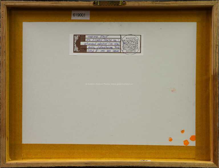  / Sen o staré Praze (Václavské nám., 50. léta) / Vladimír Jeniš