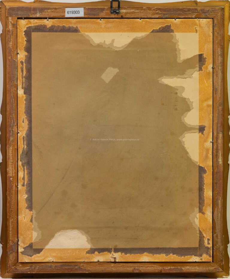  / Portrét dívky / Josef Loukota