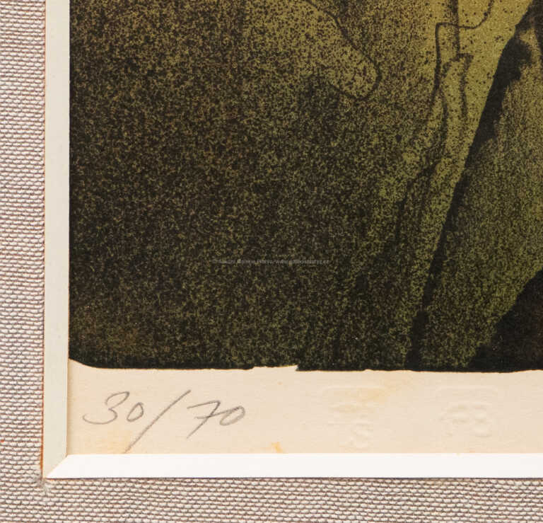  / Vojáci a kůň / Adolf Born