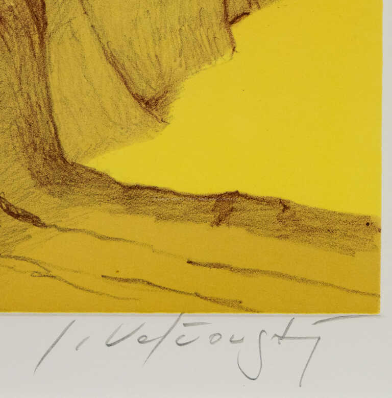  / Vyschlá řeka monitorována motýly / Josef Velčovský