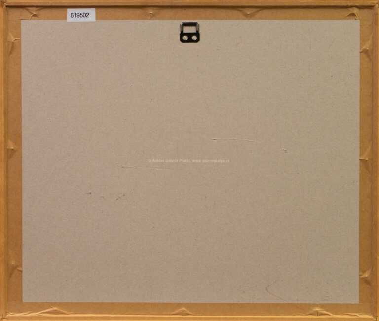  / Vyschlá řeka monitorována motýly / Josef Velčovský