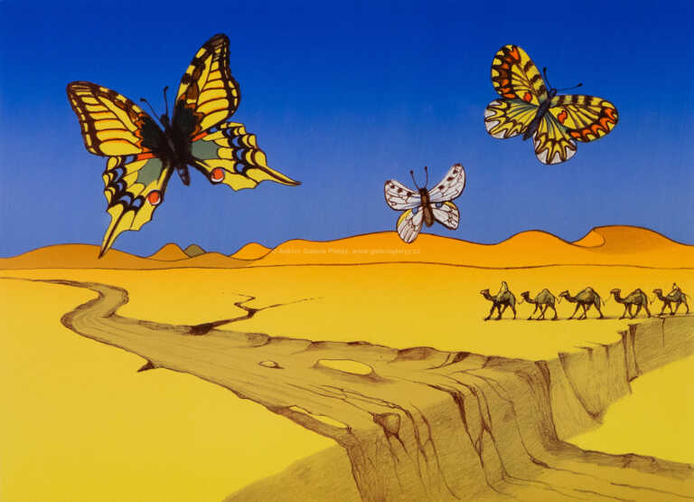  / Vyschlá řeka monitorována motýly / Josef Velčovský