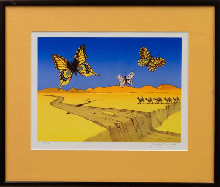 Josef Velčovský - Vyschlá řeka monitorována motýly