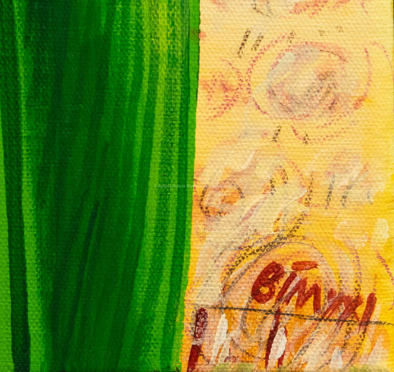  / Kaktus / Tomáš Bím