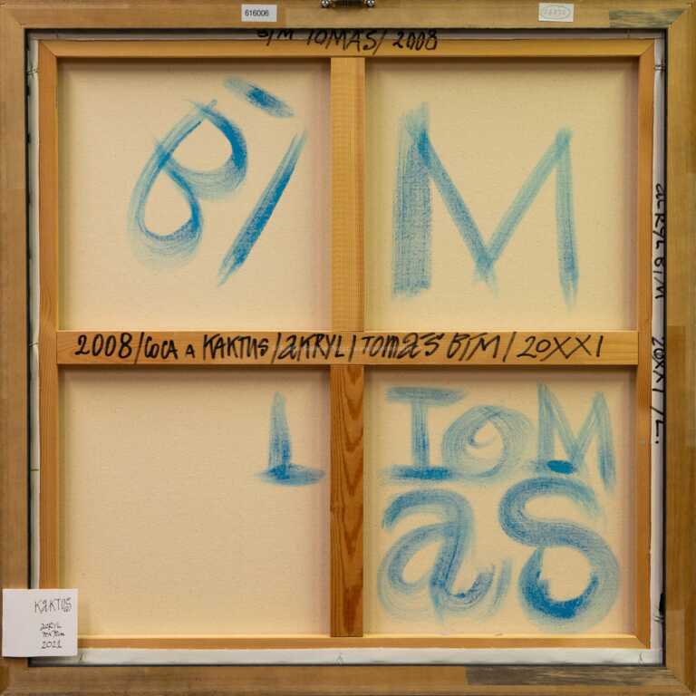  / Kaktus / Tomáš Bím