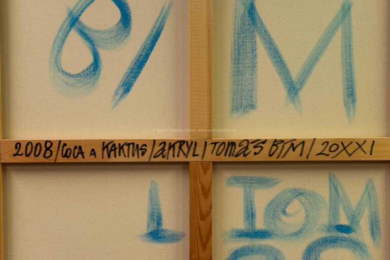  / Kaktus / Tomáš Bím