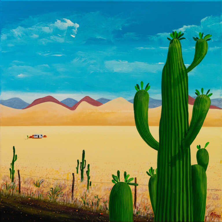  / Kaktus / Tomáš Bím