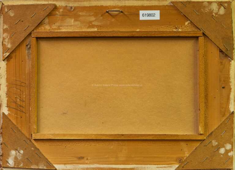  / Snopy u Mladé Vožice / Heda Pekařová Bubeníčková