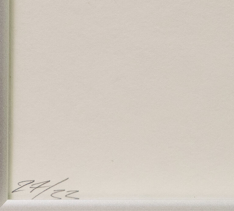  / Red Circle / Jan Kaláb