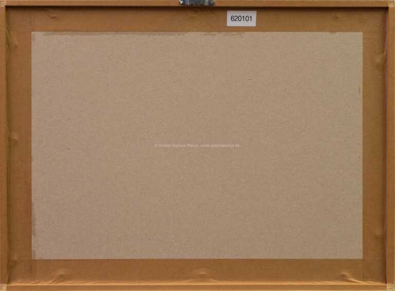  / Dobyvatelé Sluneční soustavy I / Teodor Rotrekl