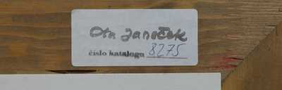  / Masožravá rostlina / Ota Janeček