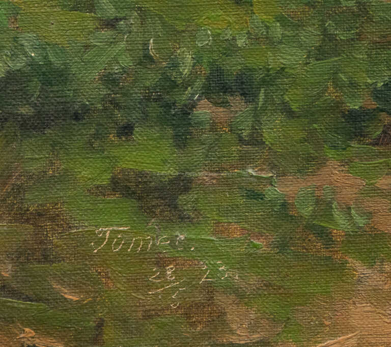  / U stavení / Jindřich Tomec