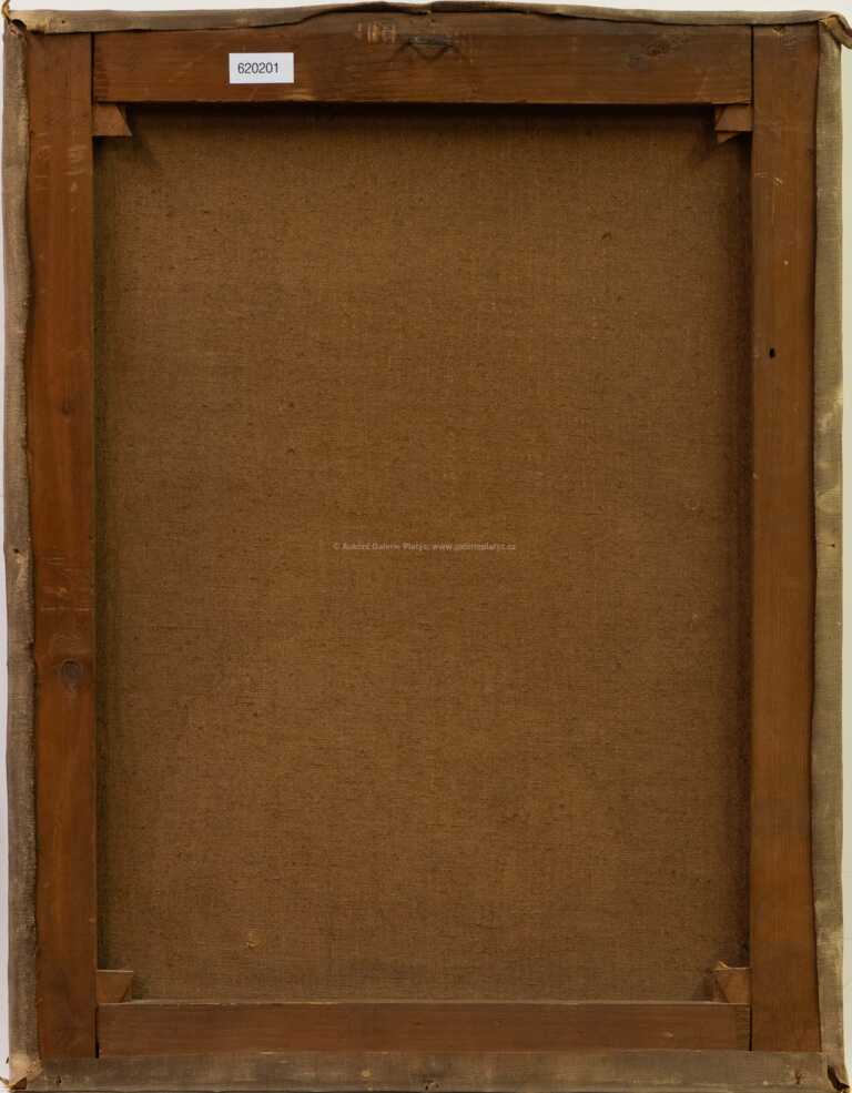  / U stavení / Jindřich Tomec