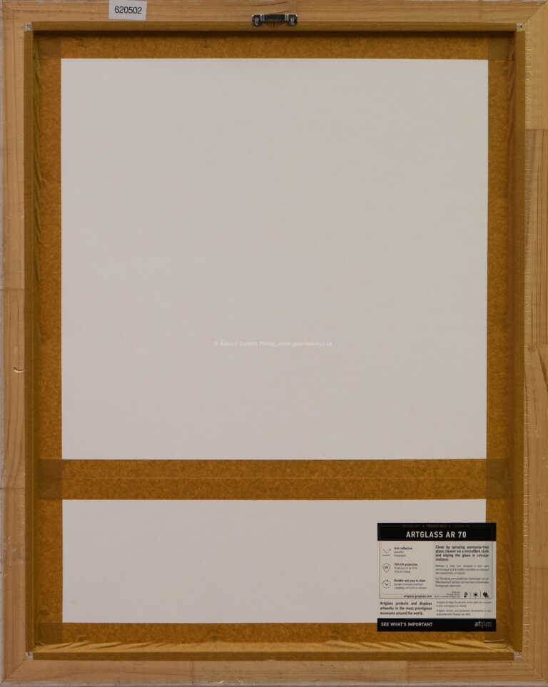  / Hyracotherium leporium / Petr Modlitba