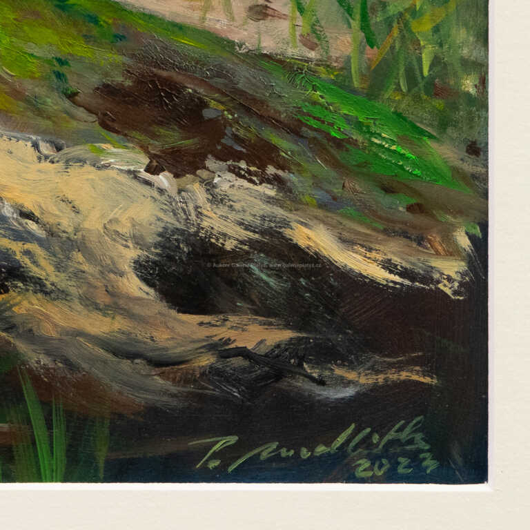  / Hyracotherium leporium / Petr Modlitba