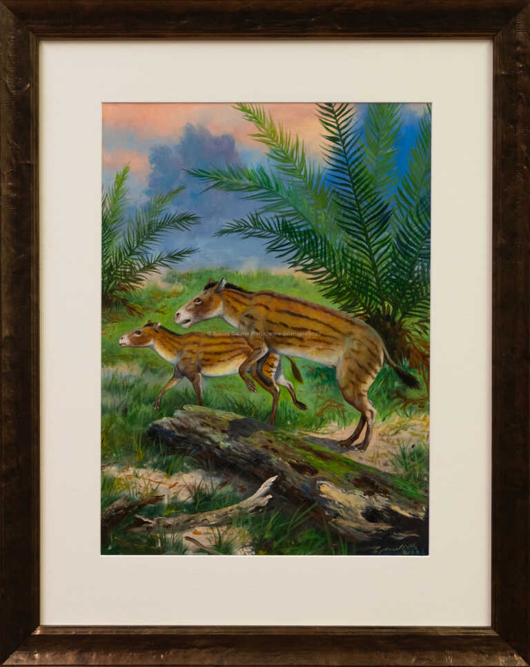 Petr Modlitba - Hyracotherium leporium