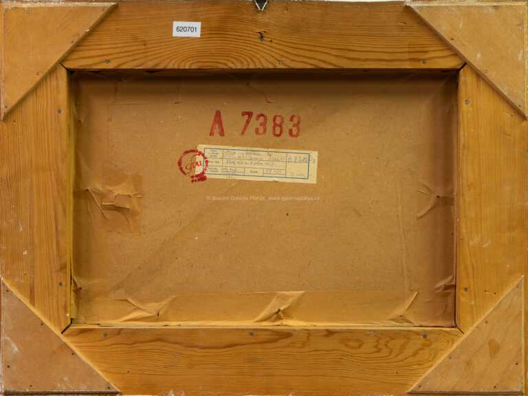  / Žlutý dům na Zlatém kříži / Ferdinand Kotvald