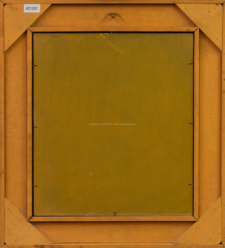  / Papoušci / Dagmar Hejtmánková