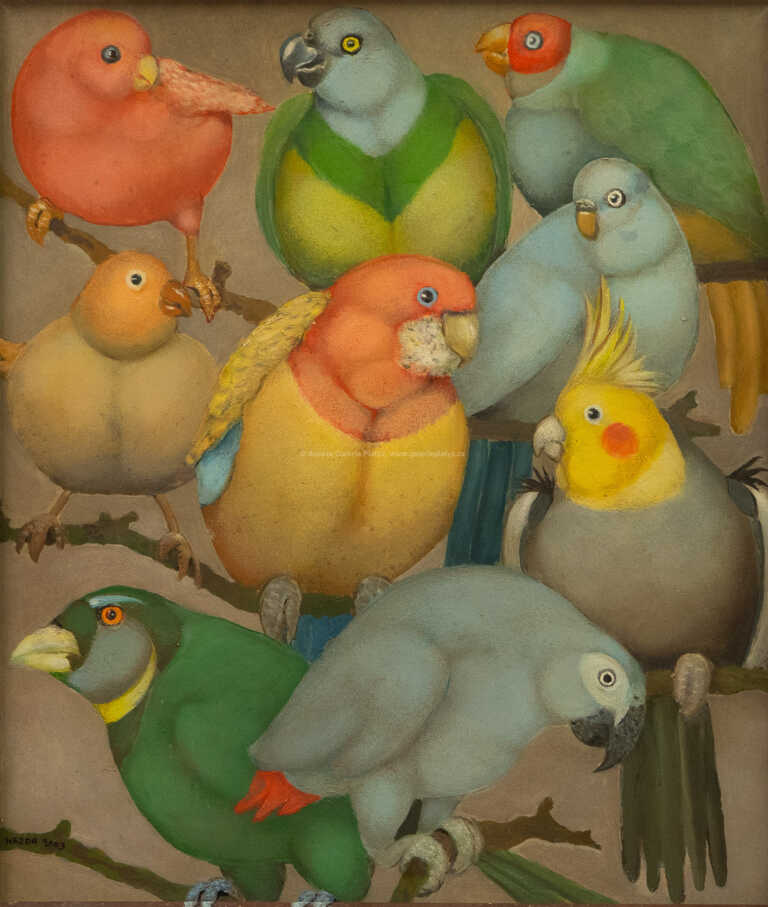  / Papoušci / Dagmar Hejtmánková