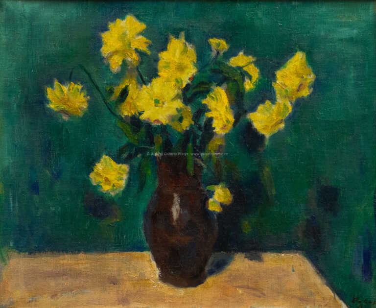  / Květiny / Václav Rabas