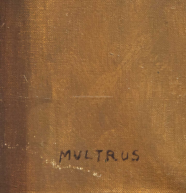  / Portrét dámy / Josef Multrus