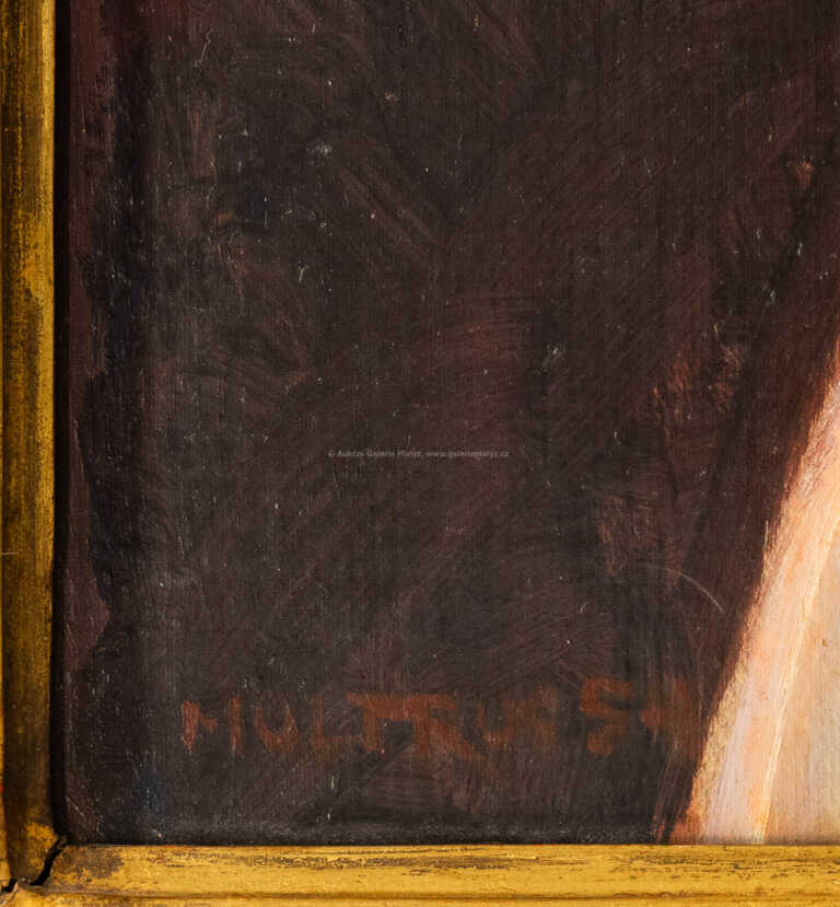  / Portrét dívky / Josef Multrus