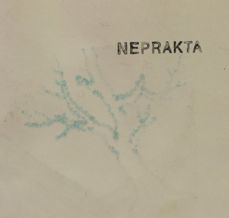  / Obr a ropucha / Jiří Winter Neprakta