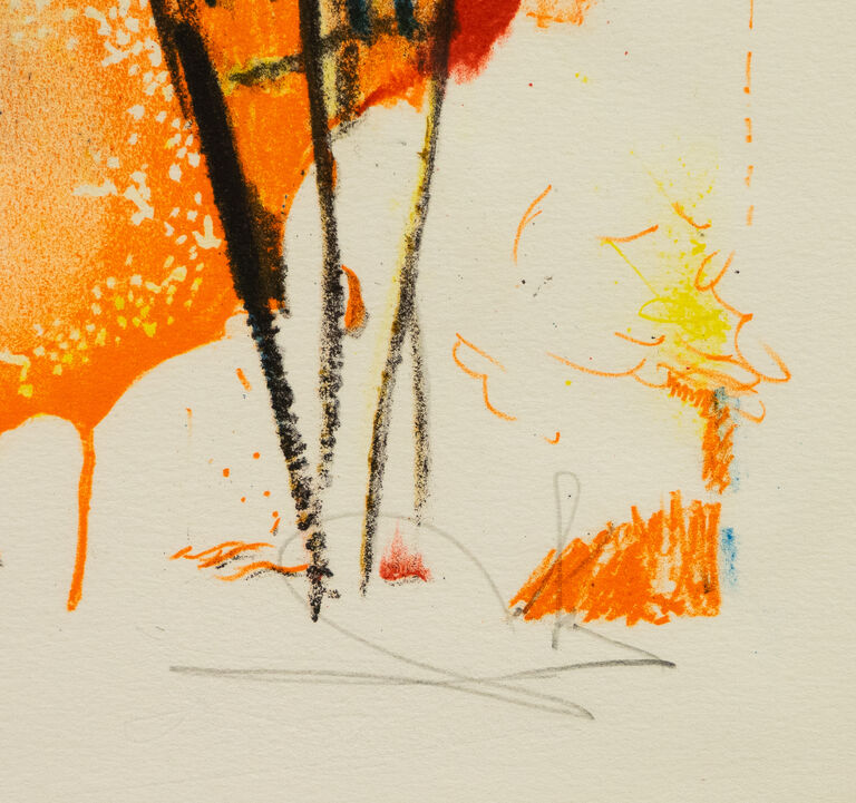  / Bullfighter (Toreador s motýly) / Salvador Dalí