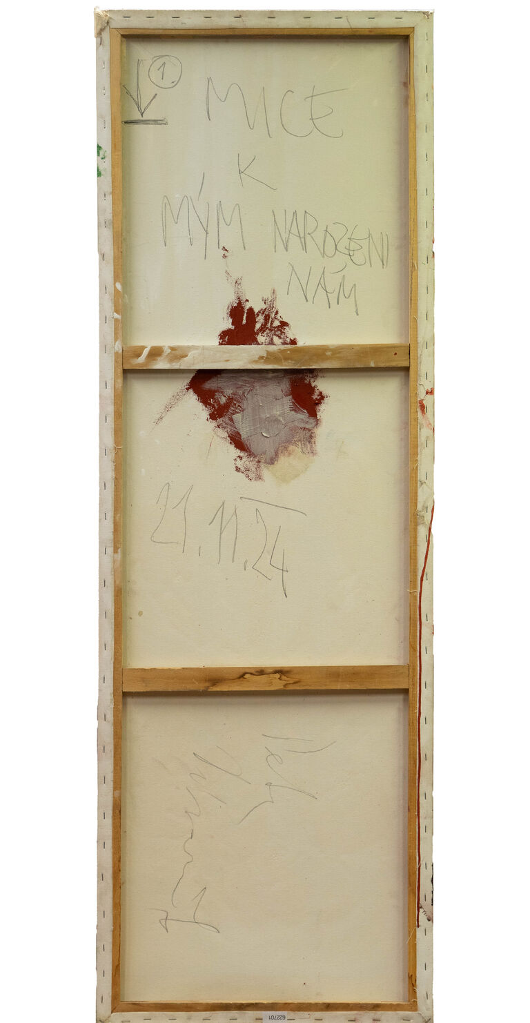  / Bez názvu / Petr Písařík