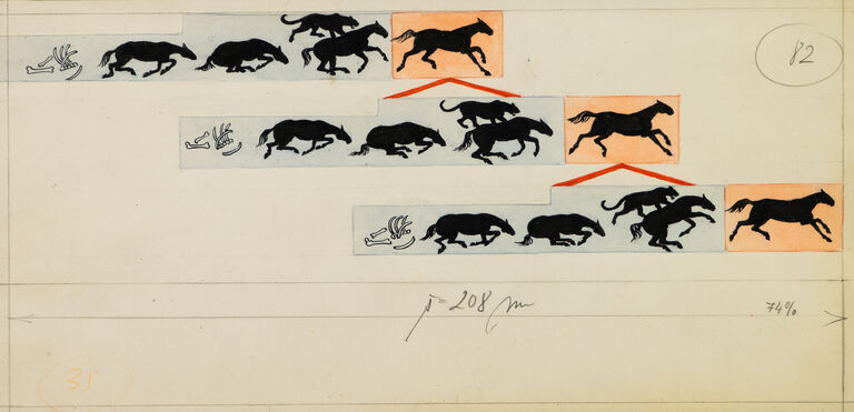  / Koně (O vzniku druhů) / Zdeněk Burian