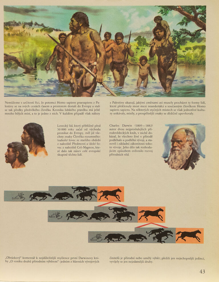  / Koně (O vzniku druhů) / Zdeněk Burian