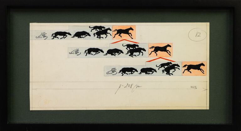 Zdeněk Burian - Koně (O vzniku druhů)