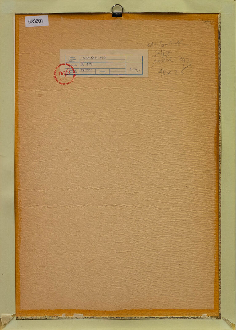  / Akt / Ota Janeček