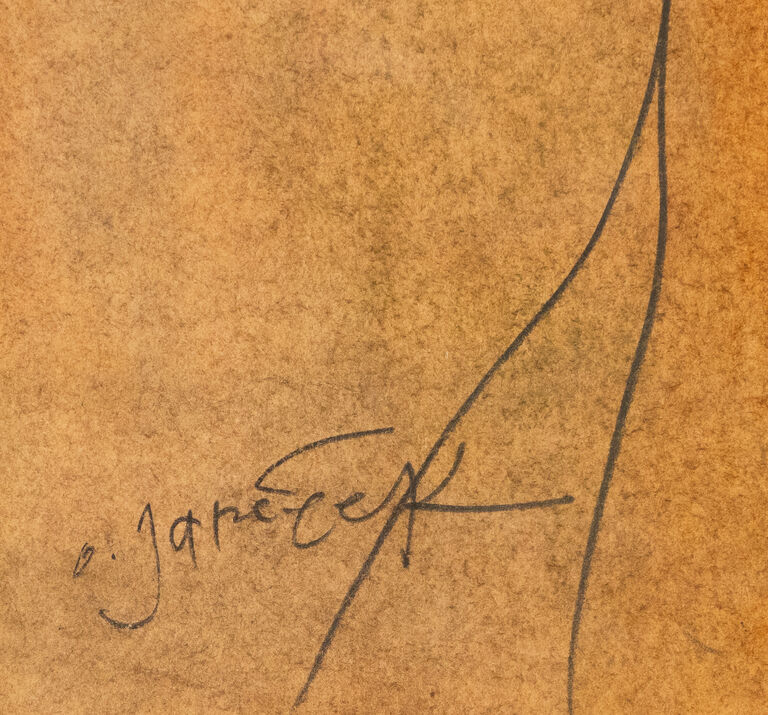  / Akt / Ota Janeček