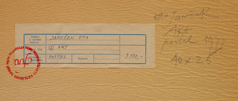  / Akt / Ota Janeček