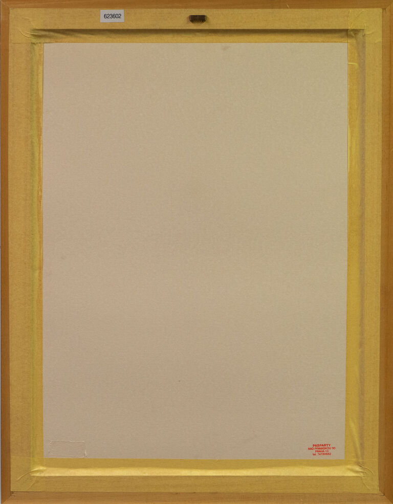  / Pocta maršálkovi Radeckému / Adolf Born