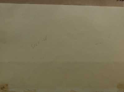  / Útočící tygr / Zdeněk Burian