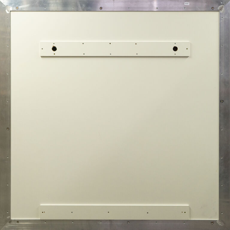  / Money Cat / Pasta  Oner