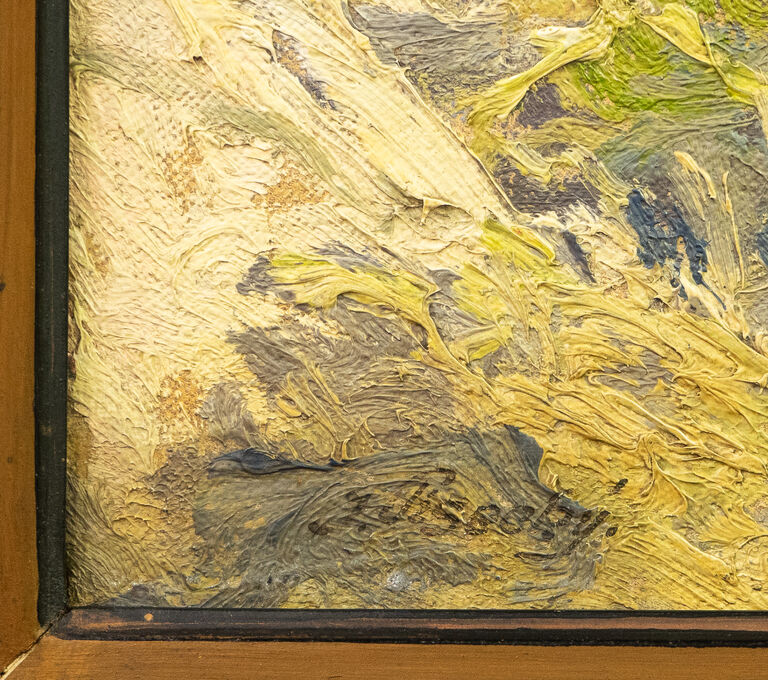  / Dubrovník z ostrova Lokrum / Josef Písecký (Liška)