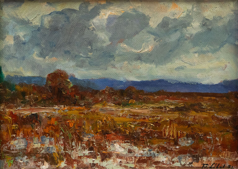  / Močál (Branná) / František Líbal