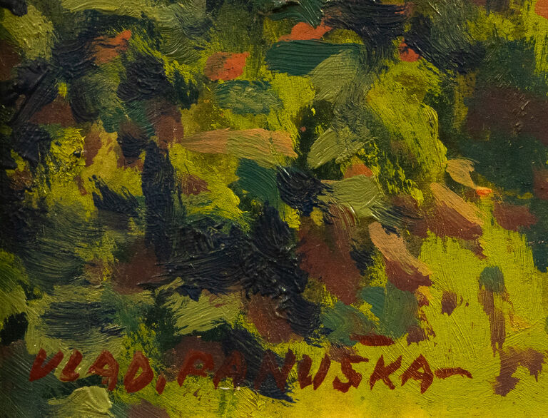  / Houby / Vladislav Panuška