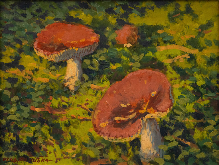  / Houby / Vladislav Panuška