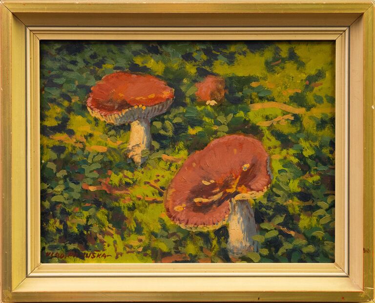 Vladislav Panuška - Houby