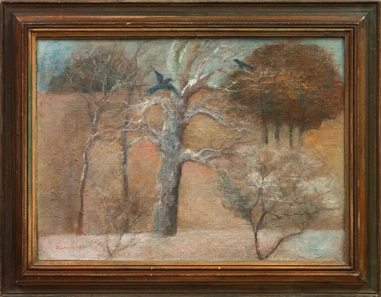 Venda Truhlářová - Mrazivý den