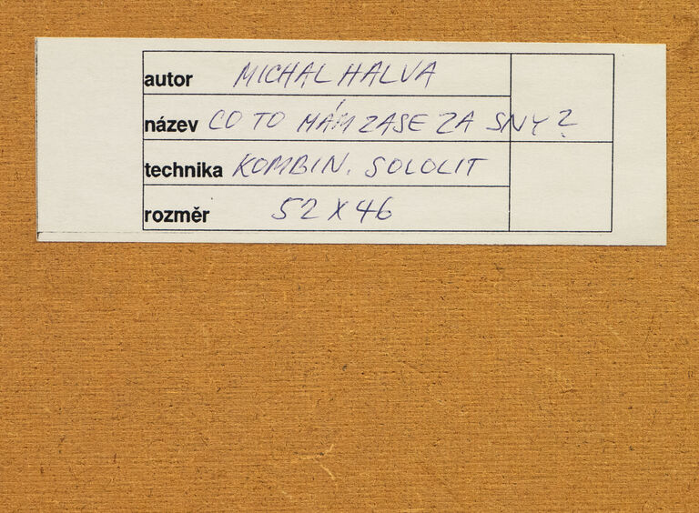  / Co to mám zase za sny / Michal Halva