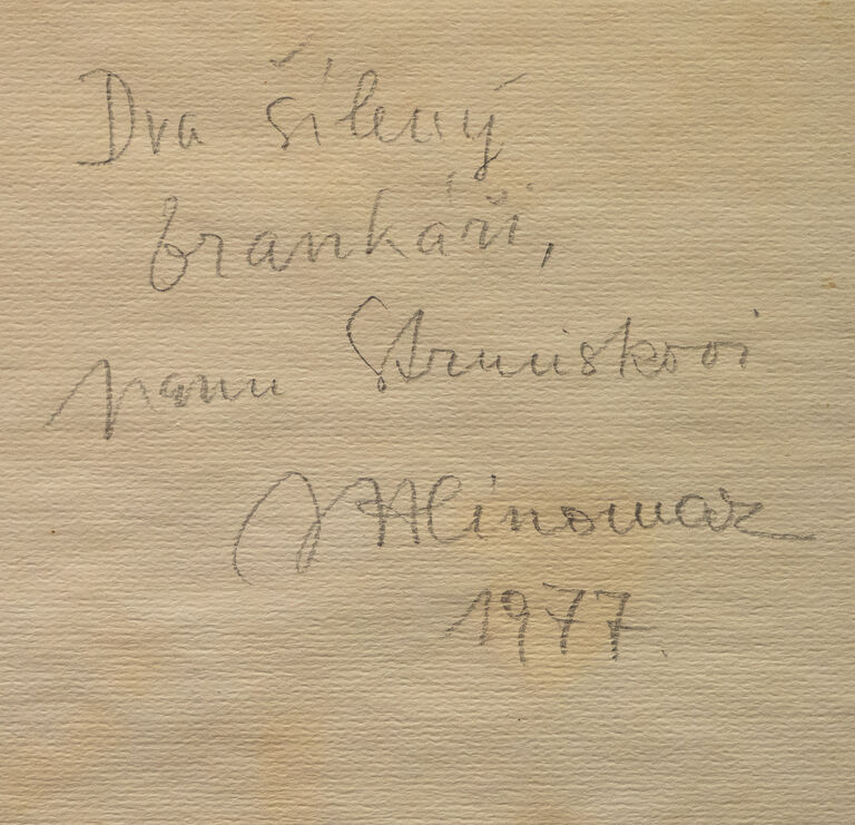  / Dva šílení brankáři / Josef Hlinomaz