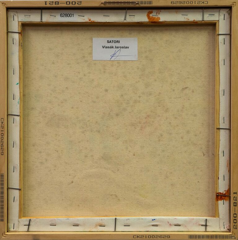  / Satori / Jaroslav Vlasák