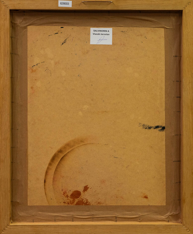  / Salvinorin A / Jaroslav Vlasák